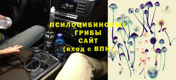 шишки Липки