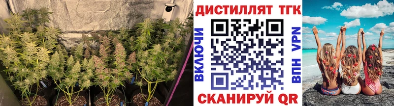 Купить  Йошкар-Ола  Дистиллят ТГК вейп 