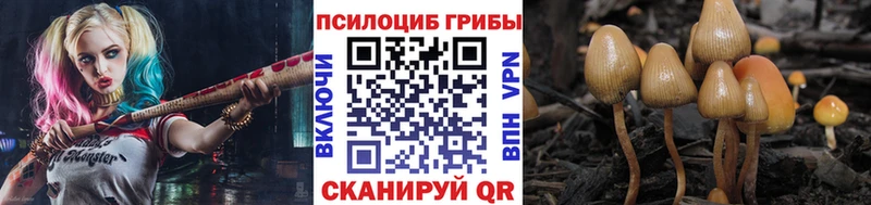 Галлюциногенные грибы мицелий Йошкар-Ола